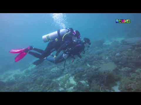 Discover Brunei   Diving