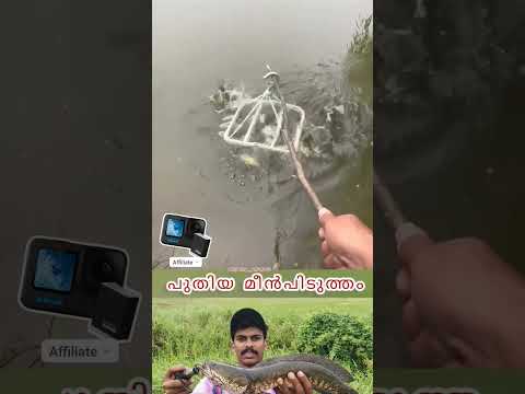 ഇതുപോലെ മീൻ പിടിക്കാൻ പറ്റുവോ 😱| #fishingtipsandtechniques #fishingmethods #shorts