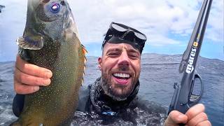 WILD Spearfishing in HAWAII (Catch & Cook)