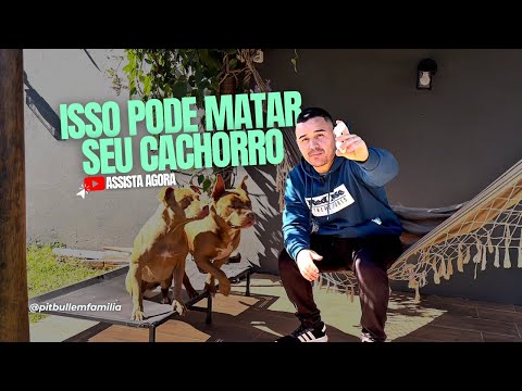 NUNCA MAIS DOU ISSO PARA OS MEUS CÃES ! #assista