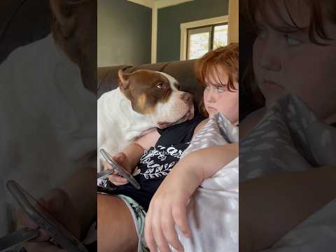 Love is ALL he wants 🤗🥰 Burleson's Odin and his Human 🤗