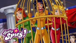 🔎🌸 Epic Spy Stories 😎 Totally Spies | Cartoon Compilation