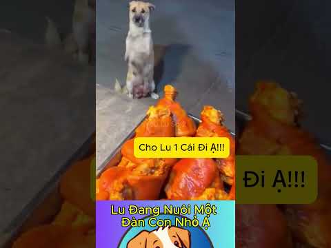 Lu Đang Nuôi Một Đàn Con Nhỏ Ạ