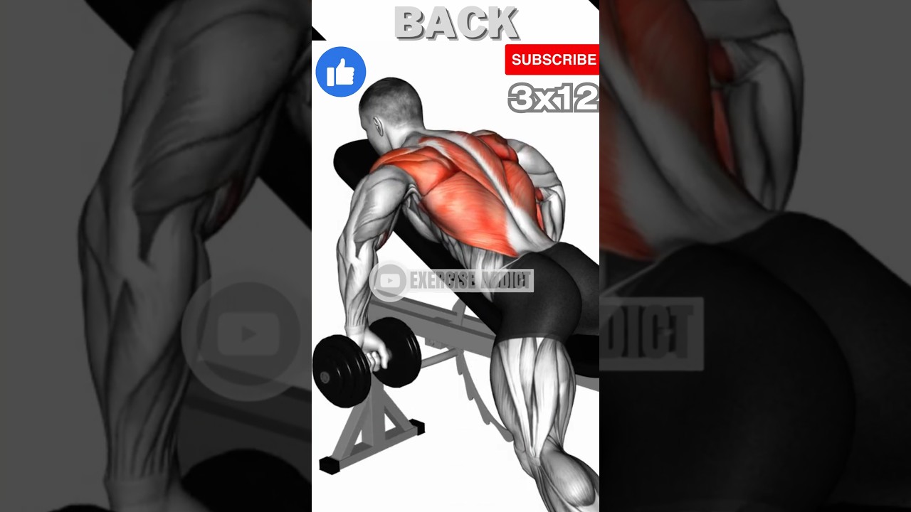 Build Wider Back 🔥💪 Fast || Back GYM Workout || Best Back Exercise || Killer Back Workout