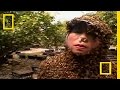 Bee Sting Therapy and Its Effects