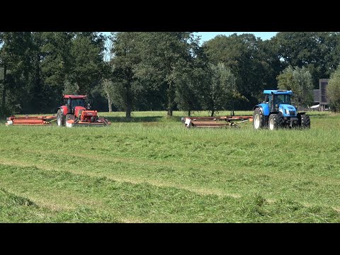 Gras maaien met Case IH 195 CVX en New Holland T7550 met getrokken Kuhn maaiers (2024)