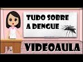 Prevenção e Sintomas da Dengue