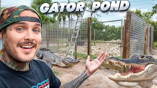 GATOR POND is ALMOST DONE! 