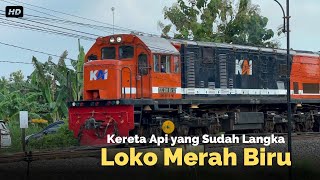 Keren‼️Kereta Api Langka pakai Lokomotif Merah-Biru