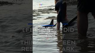 'I feel like I did the right thing': N.B. teen rescues shark on the shore