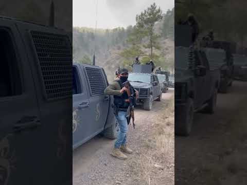 Sic4rios huyen tras caer su lÃder