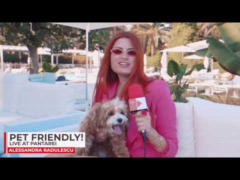 Alessandra Radulescu Fotografa & Videomaker