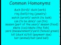 Understanding Homonyms and Vocabulary Development