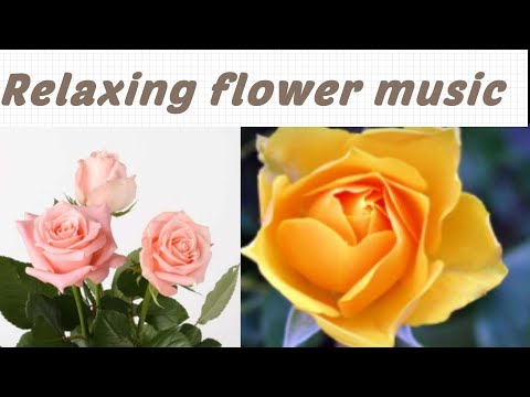 Relaxing flower music