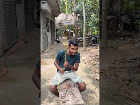 The cat ate all my fish 🐈 🤣🤣🤣 #funny #laugher #funnyclip #viral2025 #funnyreels #funnykids