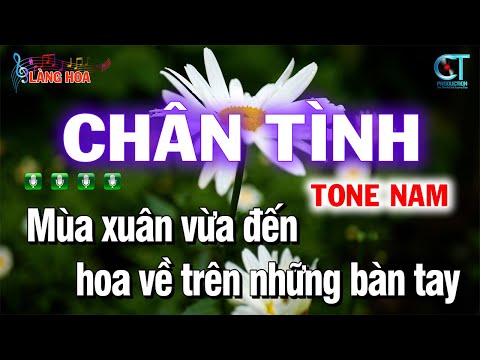 Karaoke Chân Tình Tone Nam Nhạc Trẻ Rumba | Làng Hoa