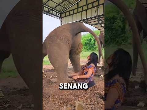 BETUL JUGA KATA ORANG BAHAGIA ITU SEDERHANA!!!
