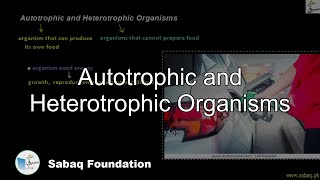 Autotrophic and Heterotrophic Organisms