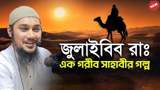 জুলাইবিব রাঃ এর ঘটনা | আবু ত্বহা মুহাম্মদ আদনান | abu taha muhammad adnan | bangla waz 2025