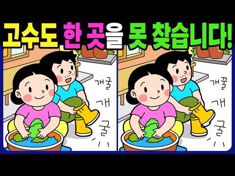【다른그림찾기 | 치매예방】고수도 3개 중 한 곳은 못 찾습니다! 재밌고 건강한 두뇌 훈련 퀴즈 문제! 【틀린그림찾기 | 두뇌운동 | Find Difference】#1563