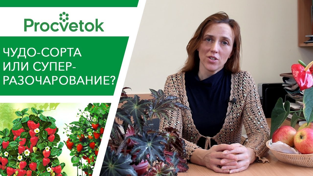 Чудеса селекции или очередное разочарование? Обзор громких новинок