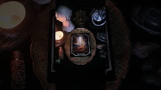 Оракул Киппера: Pathway толкование #киппер #раскладыналюбовь #оракулы #толкованиекарт #таро