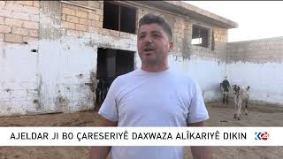 LI ROJAVAYÊ KURDISTANÊ NEXWEŞIYEK DI NAVA ÇÊLAN DE BELAV BÛ