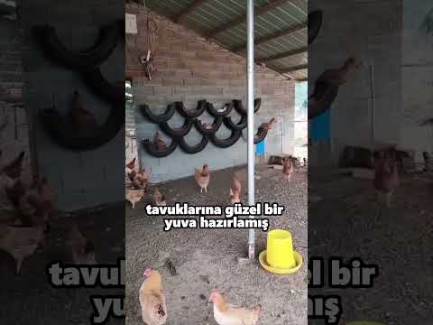 300 IQ Mucit Çiftçi