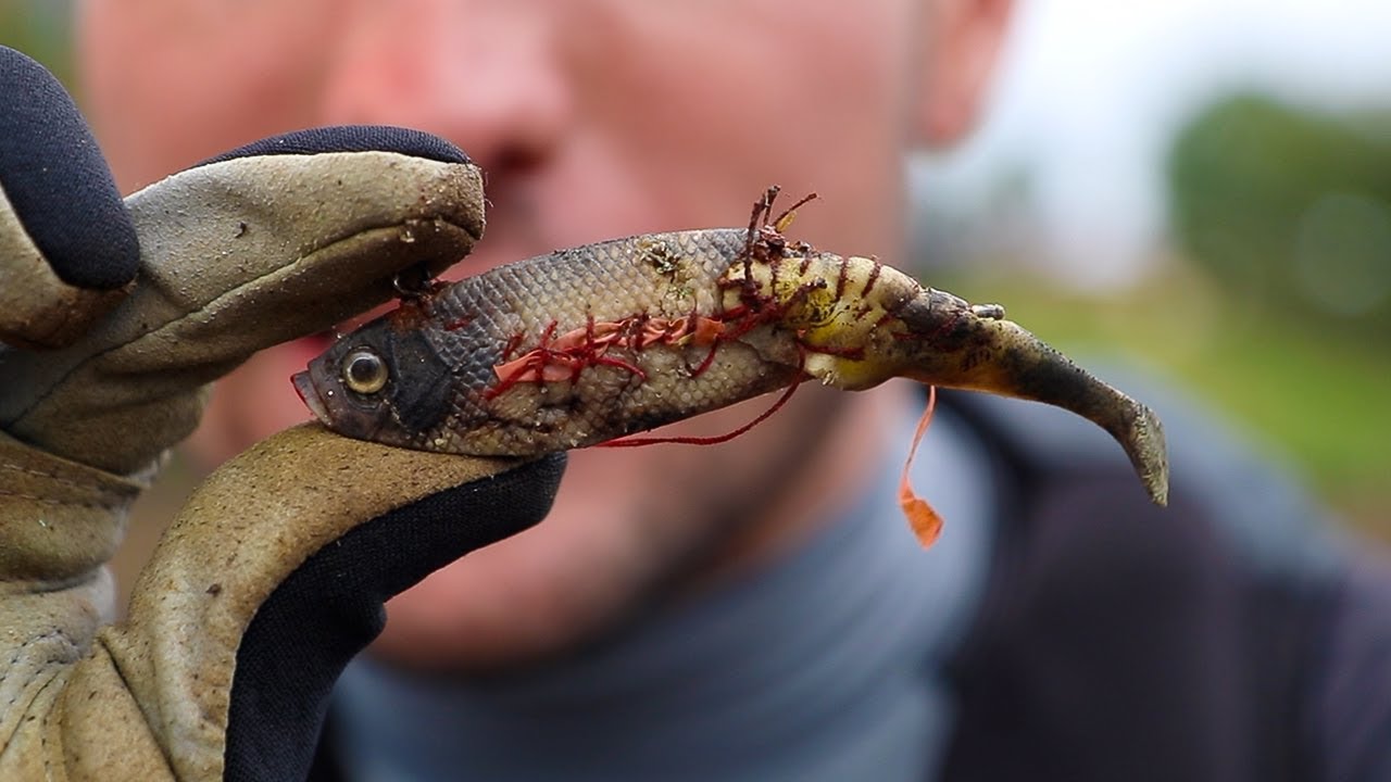 River Treasure: The Creepiest Lure Ever Found. (Ft. DallmyD)