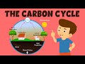 Understanding the Carbon Cycle