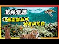 Climate Change Impact on Wildlife