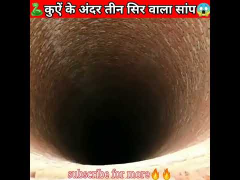 🐍भूतिया कुऐं के अंदर ऐसा क्या दिखा OMG😳@MR. INDIAN HACKER @MrBeast @Crazy XYZ #shorts #short