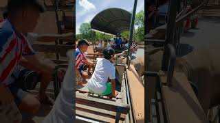 Sau Hai năm, Mon quay trở lại trải nghiệm tại Safari Cafe Phan Thiết