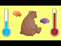 Cold-Blooded vs Warm-Blooded Animals