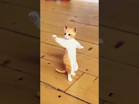 Cute Cat ? #shorts #cute