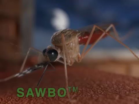預防瘧疾: 蚊帳 - YouTube