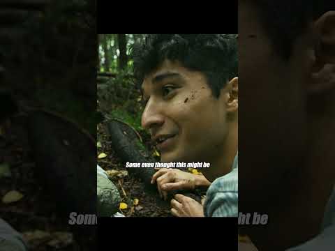 Gunshots Echo Through the Forest Camp—Let’s See What Happened Through the Girl’s Eyes #movie #film