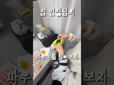샵 선생님의 내돈내산 파우치템 BEST3 ✨🤍 ?