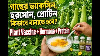 গাছের ভ্যাকসিন, হরমোন, প্রোটিন কিভাবে বানাতে হবে? Plant Vaccine, Hormone & Protein - পুনঃপ্রচার