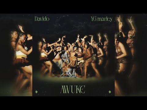 Davido, YG Marley - Awuke (Official Audio)