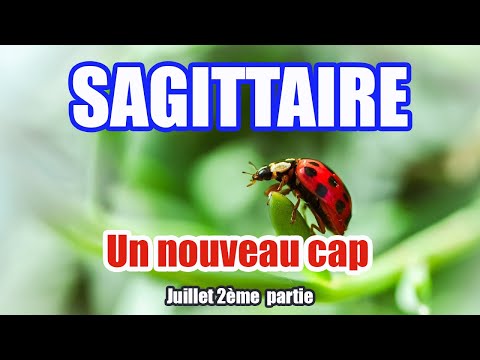 SAGITTAIRE JUILLET 2025 :  WAWW Un nouveau cap, tirage au top !