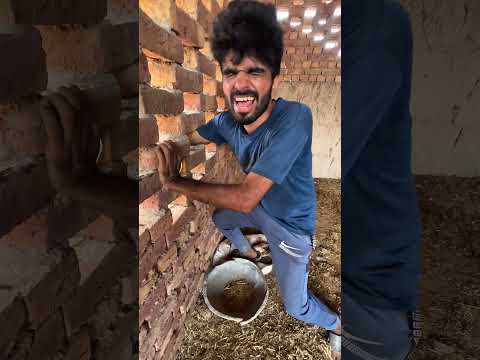 Dragón de Komodo es descubierto robando un teléfono móvil#dragon