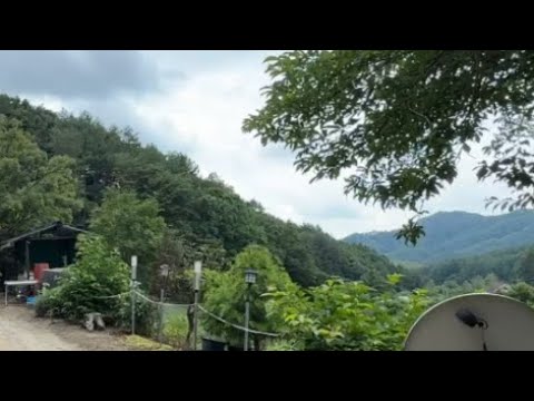 정선땅부근 산속에 사는사람