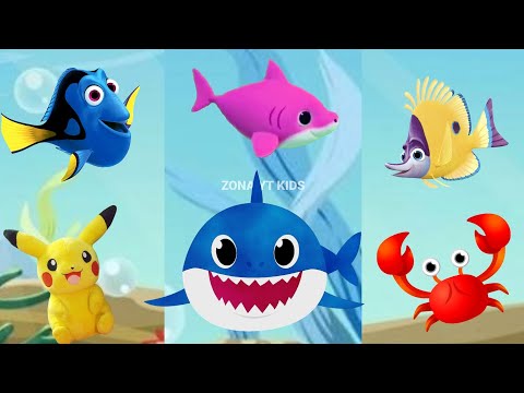 Baby shark dance Song video, Baby Shark doo doo doo under seaworld, Animals Sea Dolphin octopus