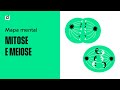 Mitosis and Meiosis Concepts