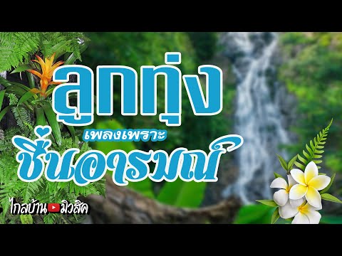 ลูกทุ่งเพลงเพราะชื่นอารณ์ ฟังแก้เบื่อ