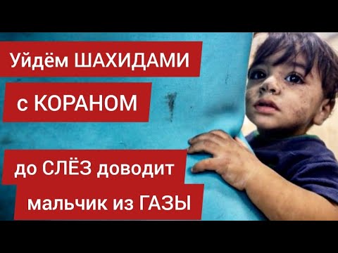 Уйдём ШАХИДАМИ с КОРАНОМ. До СЛЁЗ доводит мальчик из ГАЗЫ