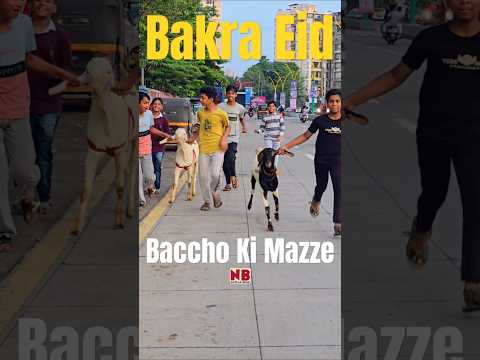 Bache aur Bakre ๐๐โฅ๏ธ #bakraeid #bakraeid2025 #bakraeidspecial #bakra #goats #trending #biggoats
