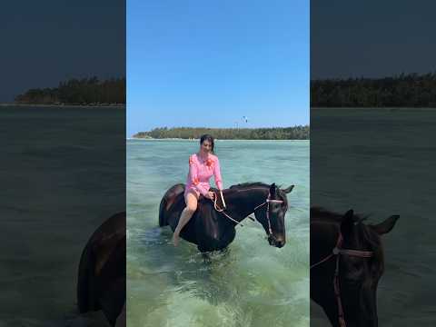 Activité nage avec les chevaux à l’île Maurice 🐴🇲🇺