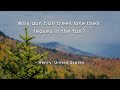 Understanding Fall Leaves and Trees